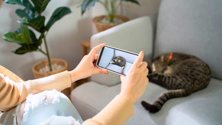 fotografia zwierząt